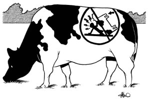 no cow tipping