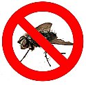 no fly