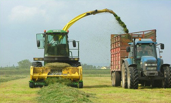 silage-making
